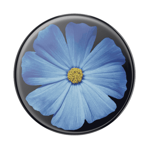Blooming Blue Gloss
