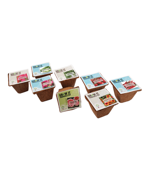 GROW THEM ALL (SMALL GIY KITS - PACK OF 8)
