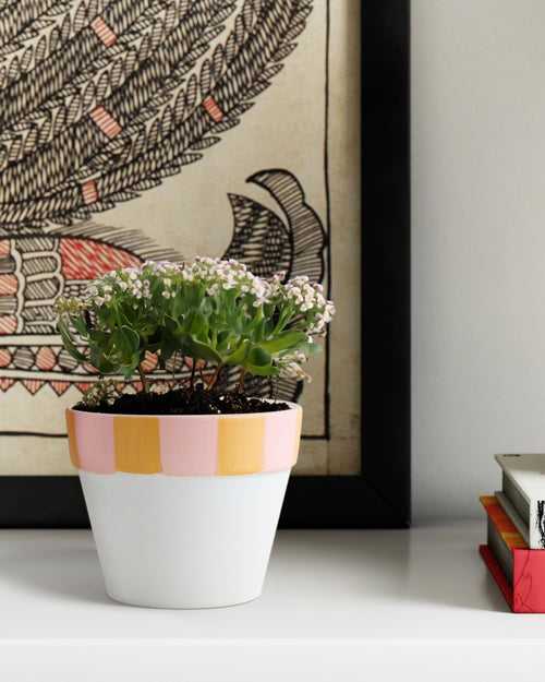 Ceramic Planter White - 4x5