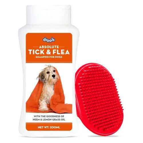 Drools Combo of Tick and Flea Repellent Shampoo for Dogs, 200ml with 1 Free Bathing and Grooming Hand Brush
