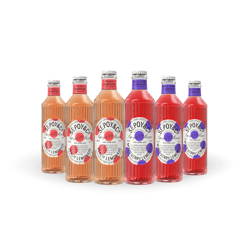 Mixed Berry & Peach Lemonade Tasting Box (Pack of 6)