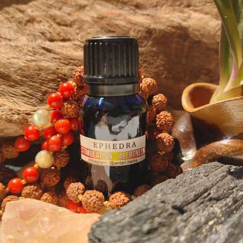 Antari Herbs- Ephedra Viridis (Drops of Ephedra Herb)