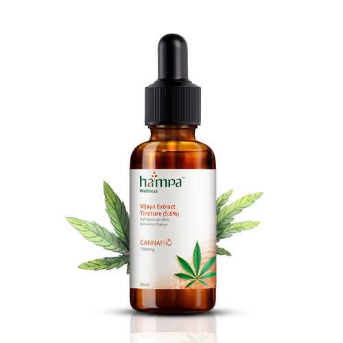 Hampa Wellness - Vijaya Extract Tincture (5.6%, Cinnamon Flavour) | Full Spectrum Oil with the Superpower of Hemp