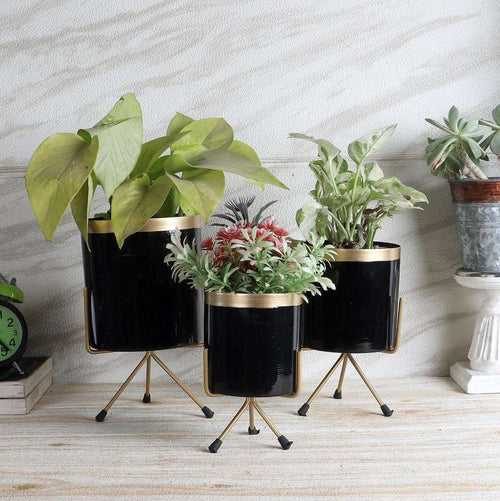 Black & Gold Metal Votive Planter - Set of 3