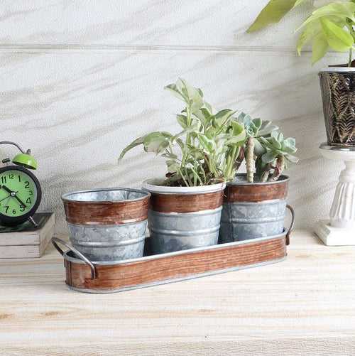 Brown & Silver Metal Table Planters with Tray - Set of 3