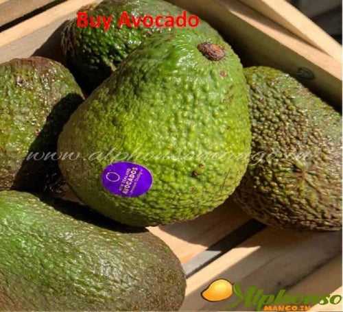 Buy Avocado Fruit | Online | Imported