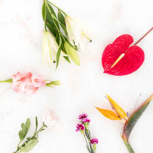 Subscribe to Cut Flowers - DIY Assortment