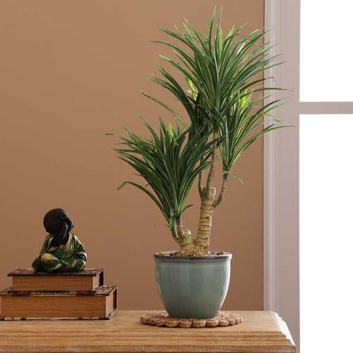 Green Yucca Faux Ceramic Potted Plant