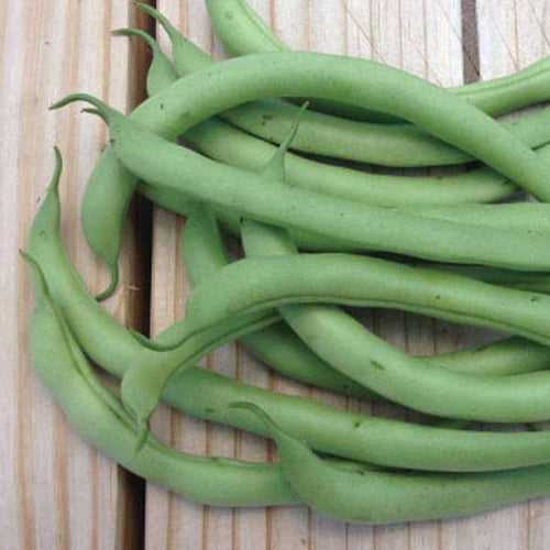 Set of 15 Vegetable Seeds to Sow in February, March in North India