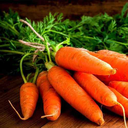 Set of 15 Vegetable Seeds to Sow in October, November in South India