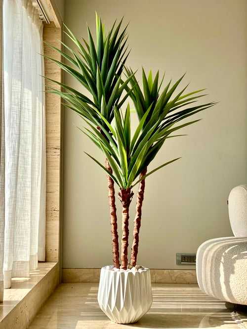 Artificial Yucca Tree (6 Feet)