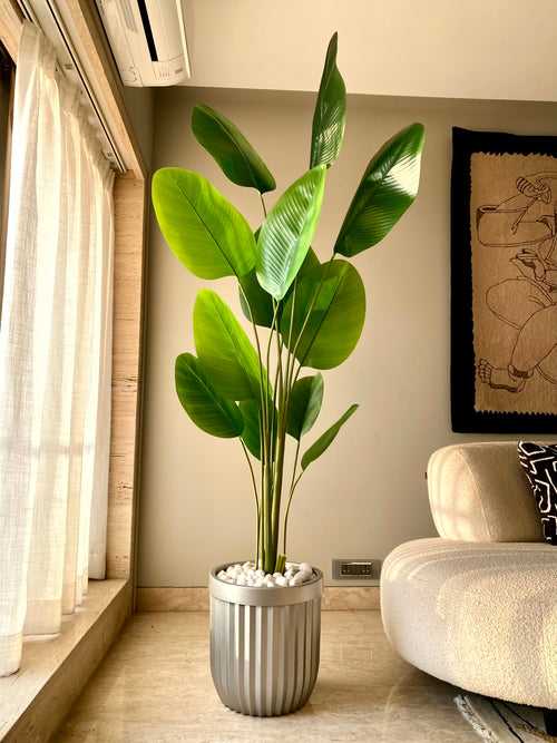 Artificial Calathea Palm Tree (6.5 Feet)