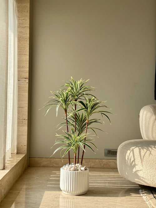 Artificial Spider Palm Tree (3 Feet)