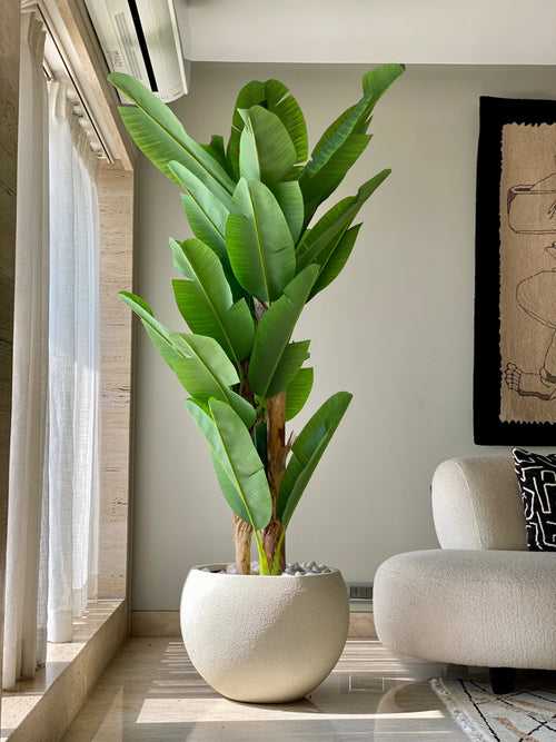 Artificial Banana Palm Tree (7 Feet)