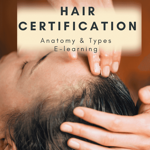 Hair Certification Course - Hair Anatomy, Types & Care