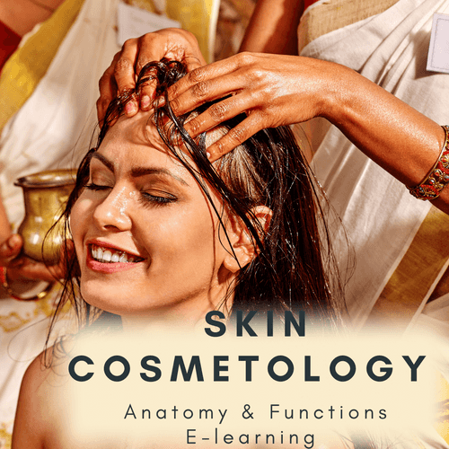 Cosmetology Skin Course - Skin Anatomy & Functions