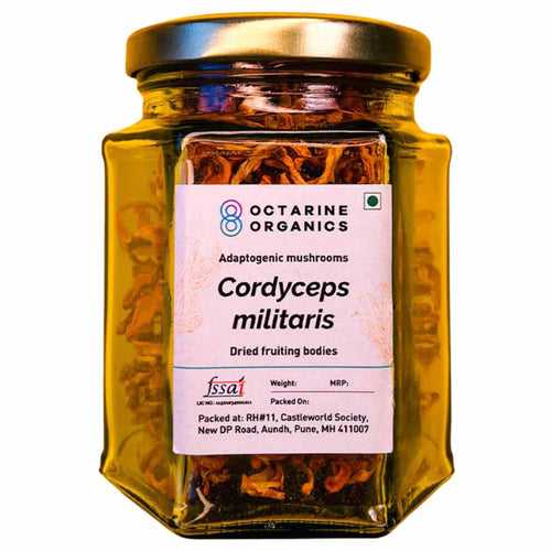 Cordyceps Militaris Dried by Octarine Organics
