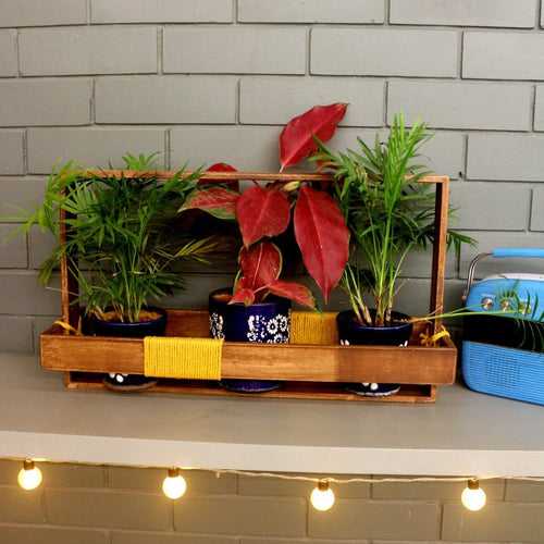 Table Top Planter Wooden Frame