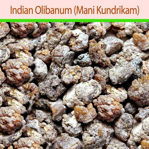 Mani Kundrikam (Indian Olibanum)