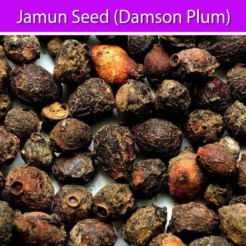 Jamun Seed
