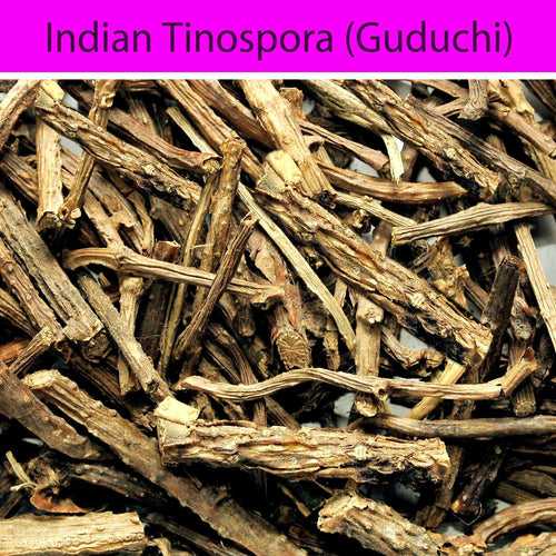 Guduchi (Indian Tinospora)