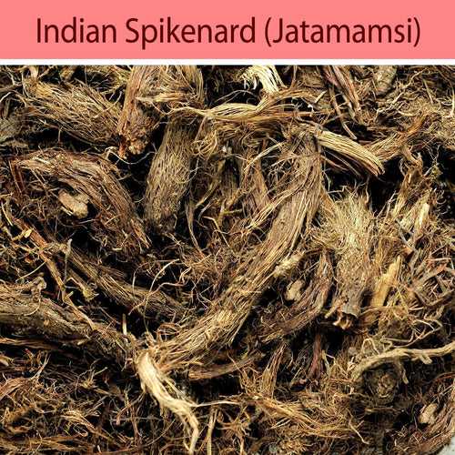Jatamansi (Indian Spikenard)