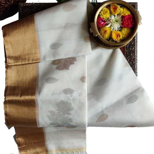 Ivory and Zari Cotton Silk Saree