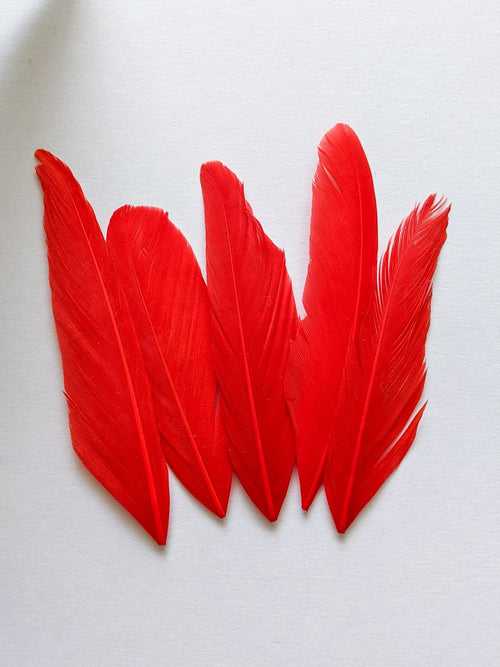 Red - Goose Feathers