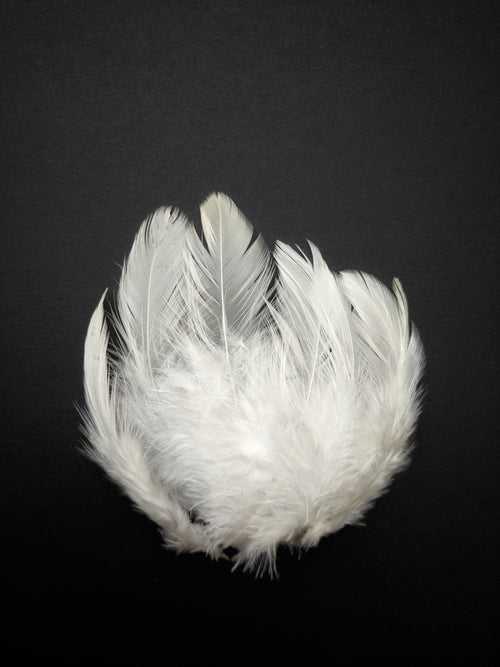 White - Natural Small Feathers (100 Pieces)