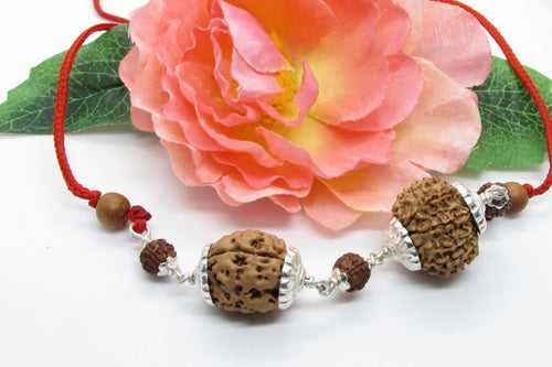 Scorpio Exclusive Rudraksh Combo - 3 & 11 Mukhi Nepal Beads | Brahmatells