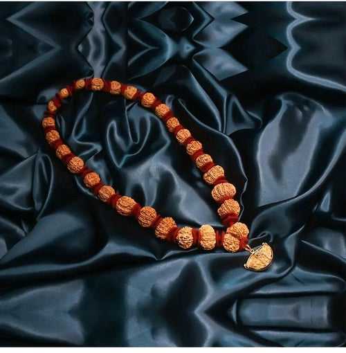 Siddha Mala with Collector Nepal Rudraksha Beads - Unique Spiritual Accessory | Brahmatells