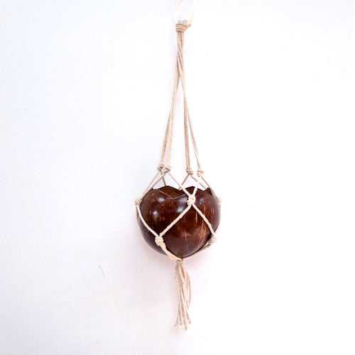 Hanging Coconut shell