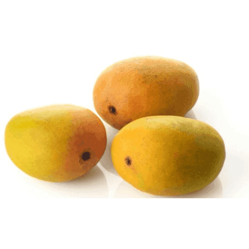 Ratnagiri Mango Alphonso (आम हापुस)