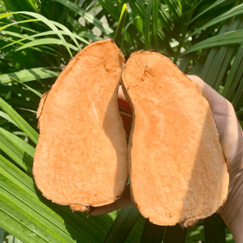Organic Orange Sweet Potato