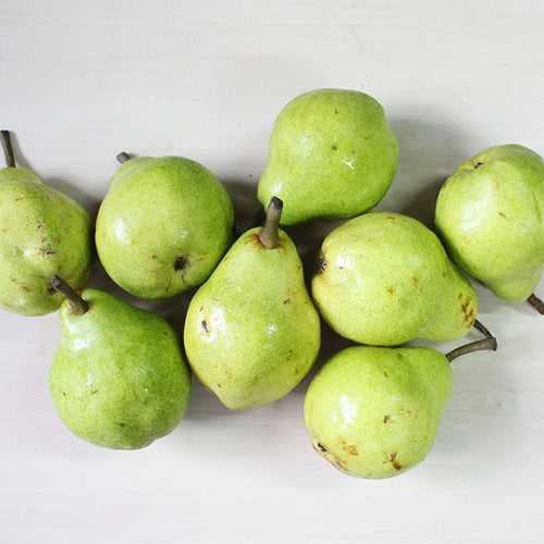 Organic Pear