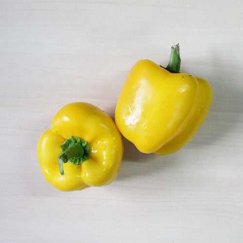 Organic Yellow Capsicum