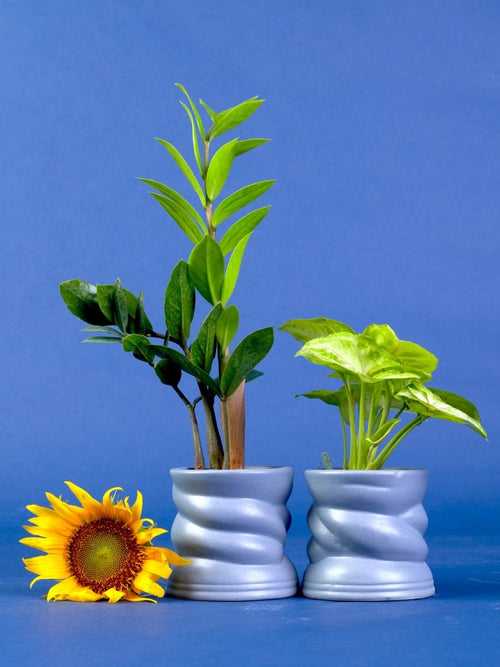 Whisper - Gray - Set of 2 - Ceramic Pots (Without Plant)