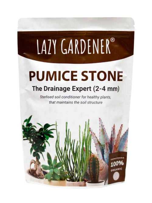Drainage Expert: Pumice Stone for Plants