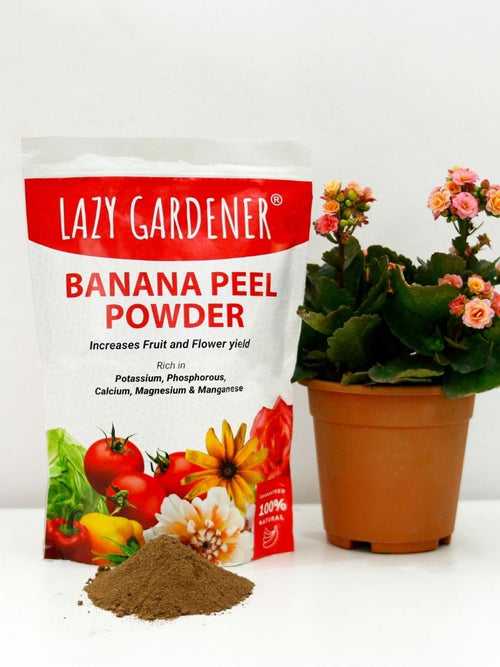 Organic Banana Peel Fertilizer | Dry Banana Peel Powder for Plants