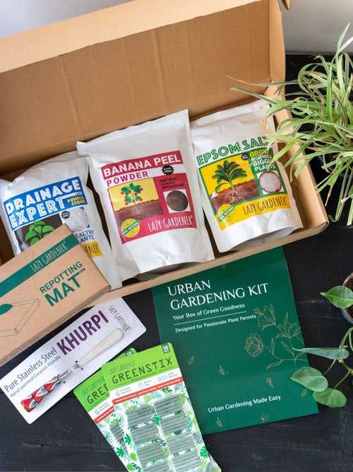 Urban Gardening Kit