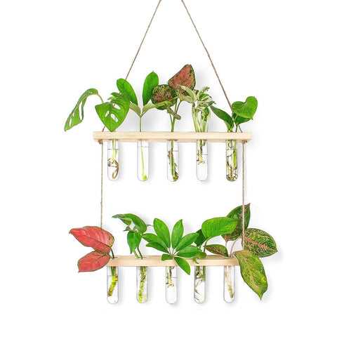 2-Tier Wall Hanging Test Tube Planter
