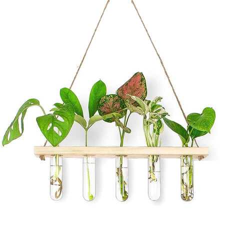 1-Tier Wall Hanging Test Tube Planter.