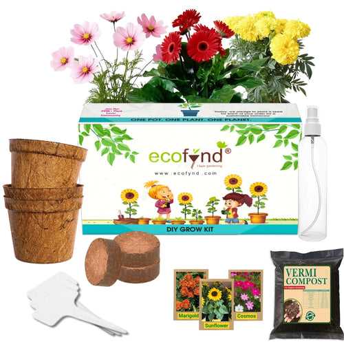 3 in 1 DIY Growkit for Marigold, Sunflower and Cosmos Mix