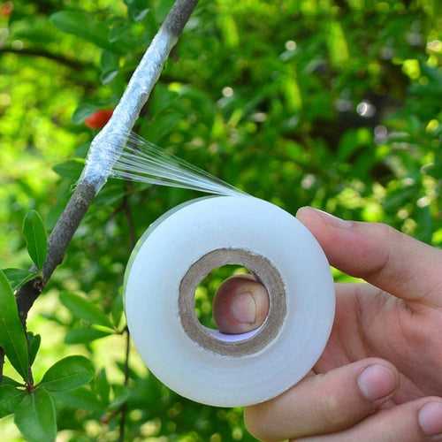 Ecofynd Grafting Stretchable Tape