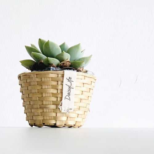 Bamboo Bucket Basket (6", 2 pc set)