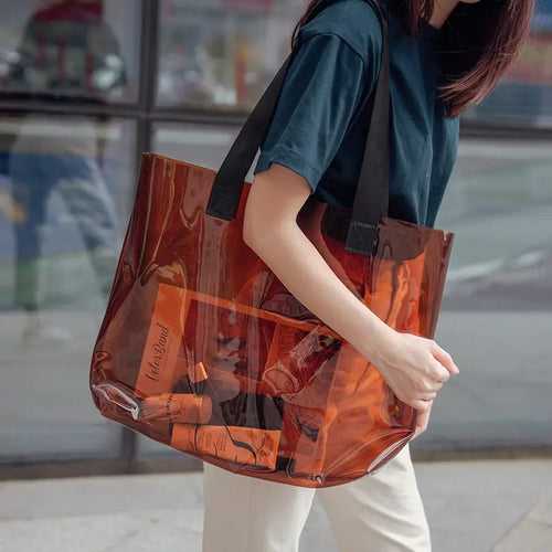 Pristine Transparent Handbag