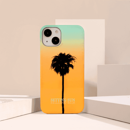 Florida iPhone Case