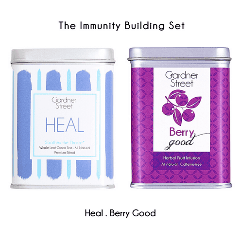 The Immunity Building Set