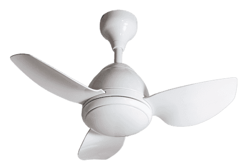 Cute WH Ceiling Fan