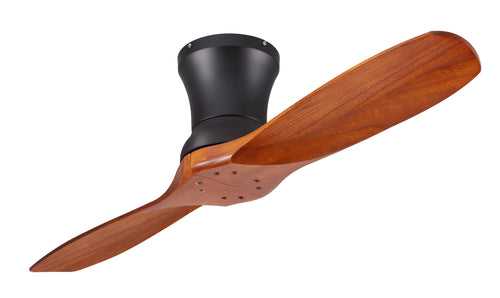 Hazel RB Ceiling Fan